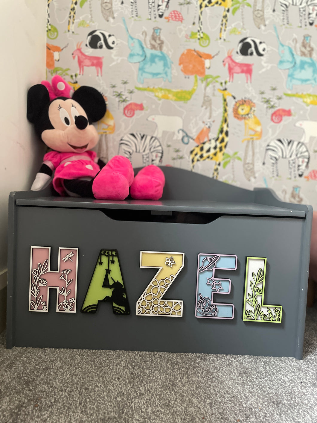 Themed Toy Box Letters